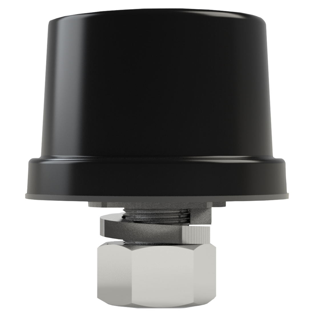 PRO S (Chihuahua PRO S)