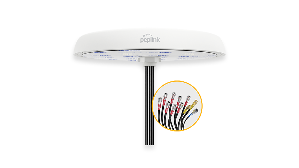 Peplink MIMO Antenna