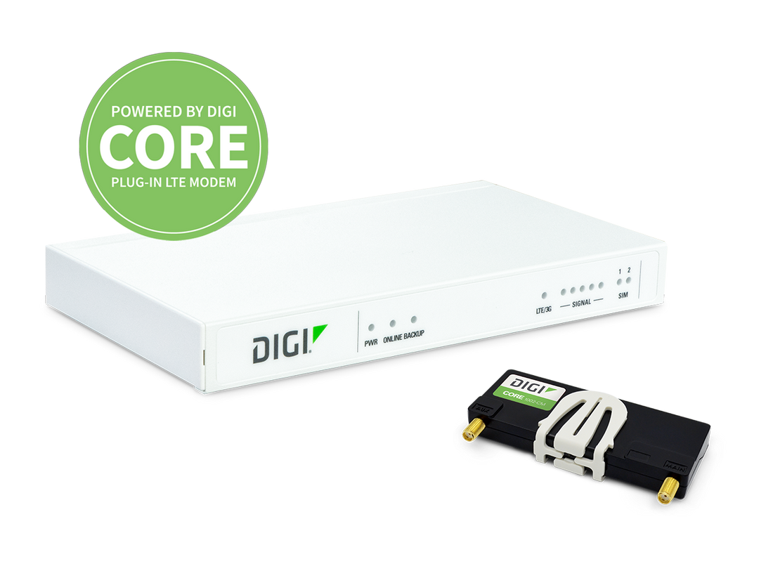 Digi Connect IT 4 Remote Console Access Server (5402-RM); 4 Serial Ports, 2 10/100 Ports; CAT 4; LTE / HSPA;  Certified Globally, international plug tips